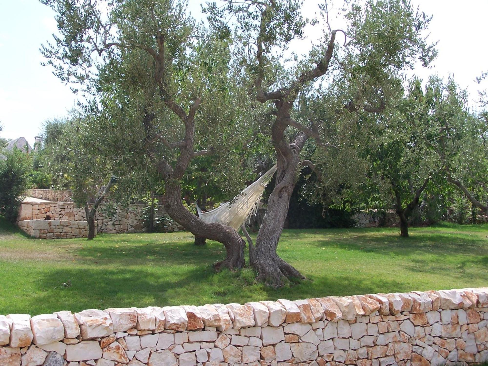 Апарт готель Truddhi Casa E Cucina Di Puglia Локоротондо Екстер'єр фото