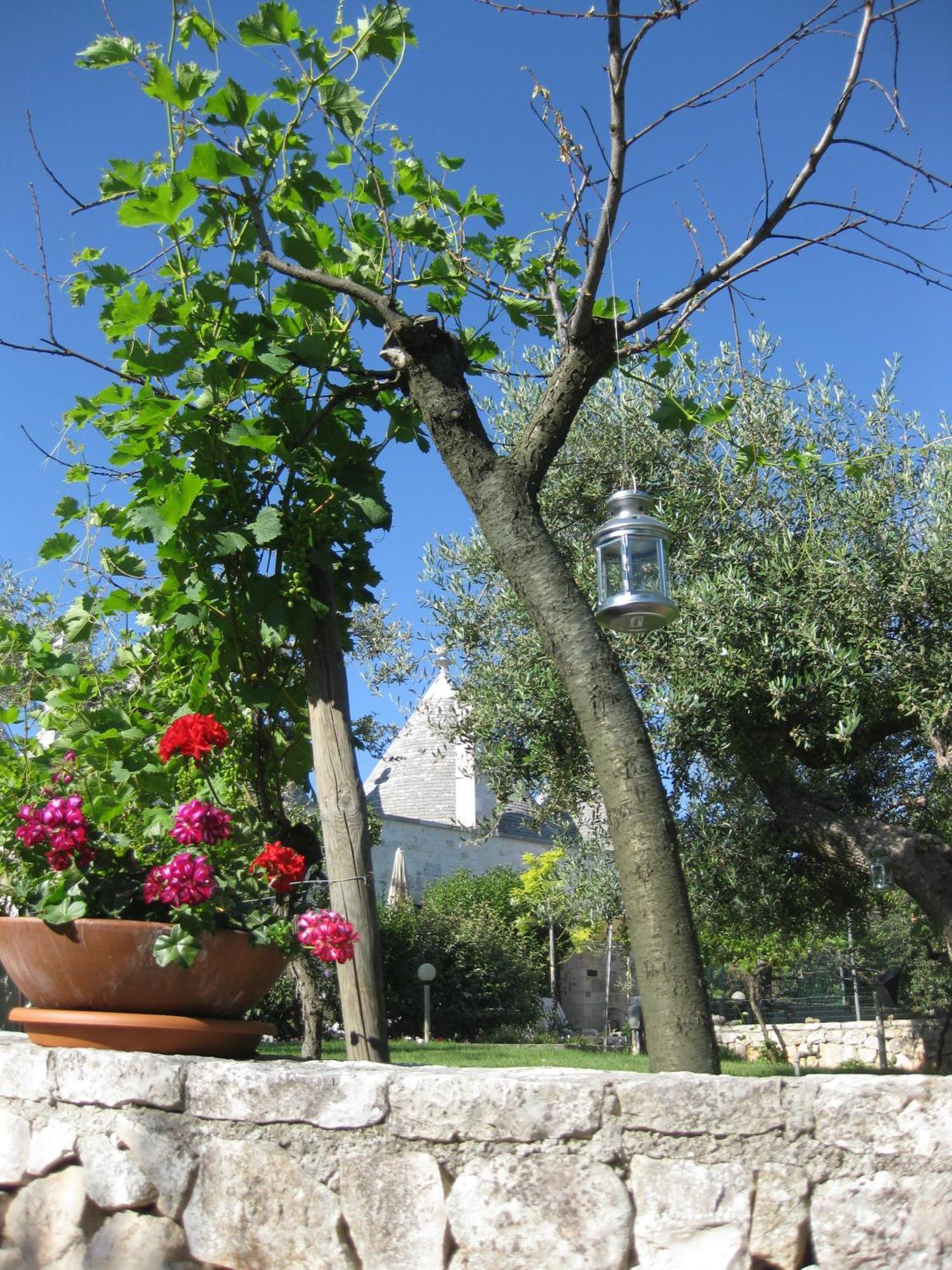 Апарт готель Truddhi Casa E Cucina Di Puglia Локоротондо Екстер'єр фото